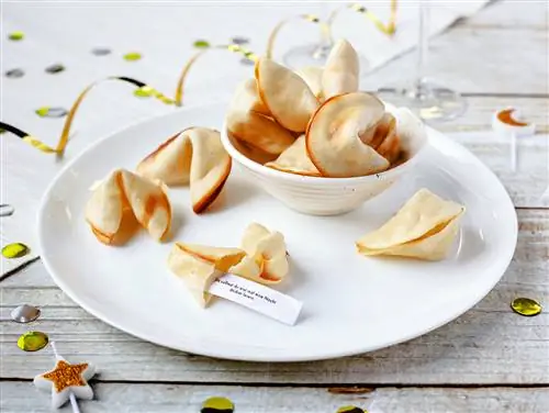 Испеките печенье с предсказаниями – как это работает