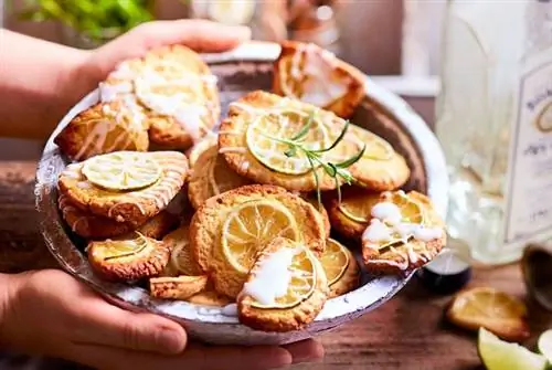 Печенье с джином и тоником