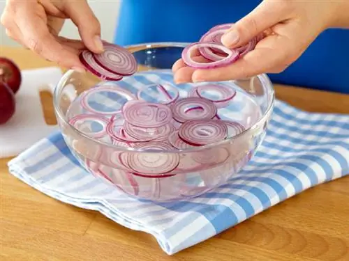 Уменьшите остроту лука с помощью водного трюка