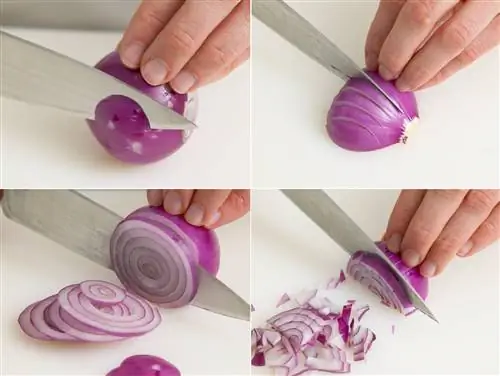 Режем лук - как это работает