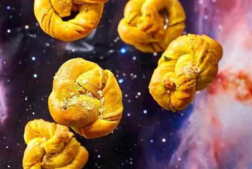 Узловатые метеориты карри