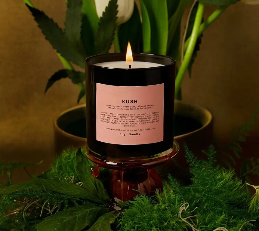 Свеча Kush от Boy Smells, сидящая на черном постаменте с распростертыми тюльпанами за ней