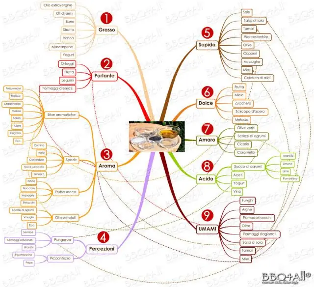 SauceMindMap-HR
