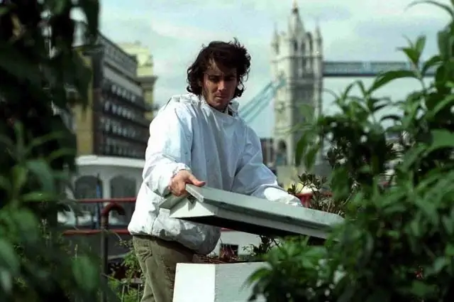 Стив Бенбоу