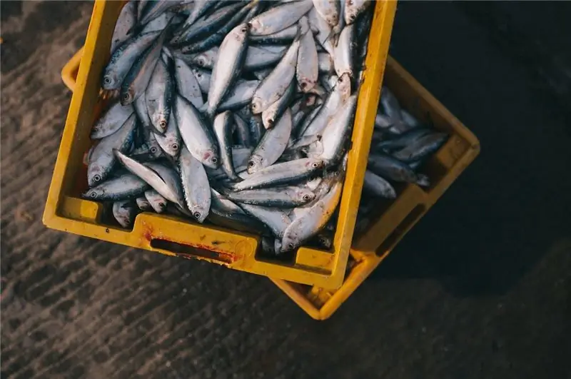 Баркарелло: изъято 2500 кг незаконно выловленной рыбной продукции