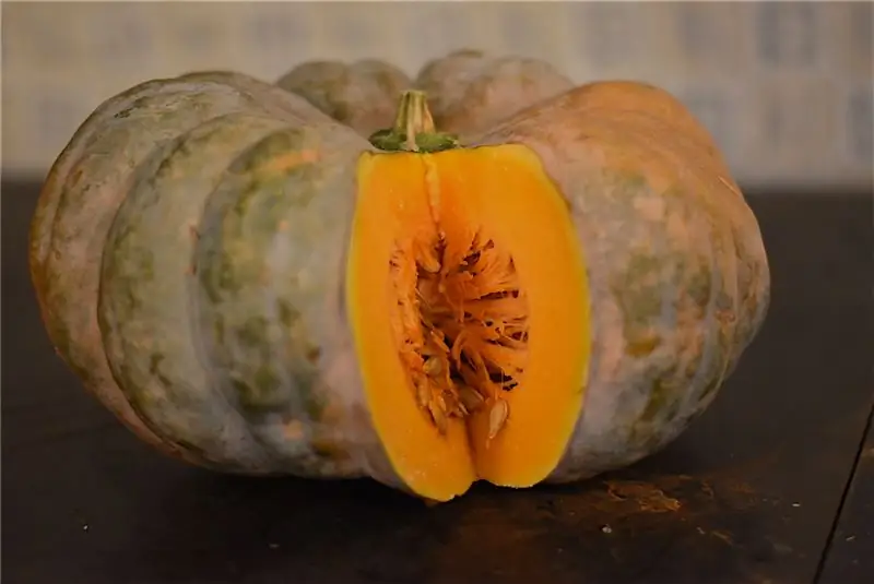 Musquée de Provence