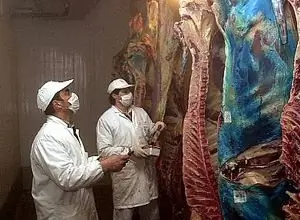 Кротон, разделанный скот без проверки здоровья: арестован