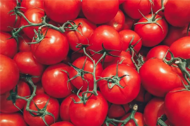 Pomodoro, блокчейн, который “ отслеживает ” прибывает путь от поля до фабрики