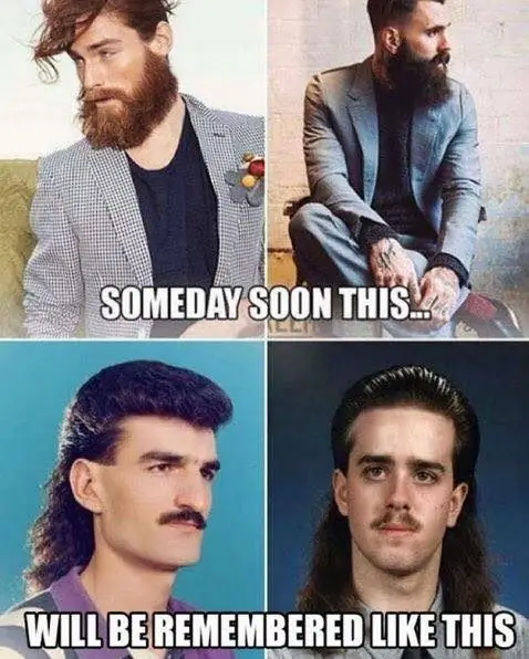 тонкие волосы борода хипстер панеттоне