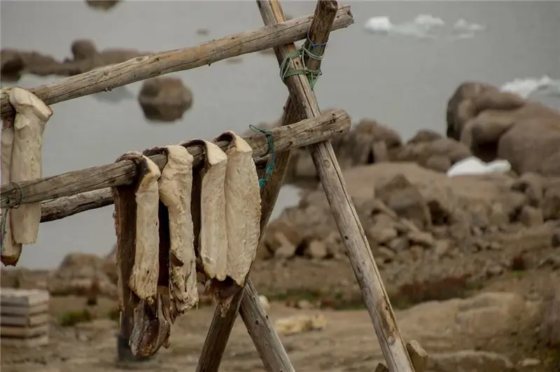 Stockfish Stockfish