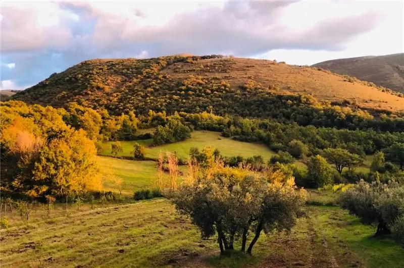 Кампания: что станет с гастрономическим туризмом?