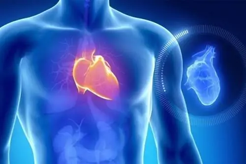 10 признаков сердечной недостаточности и как ее лечить