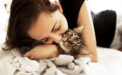 аллергия на кошку