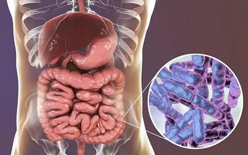 СИБР: причины, симптомы и рекомендуемые методы лечения