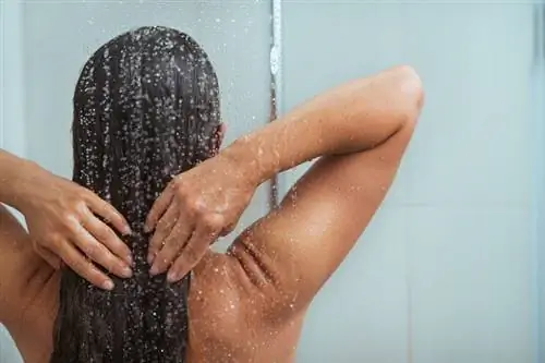 5 причин, почему купаться каждый день - не лучшая идея
