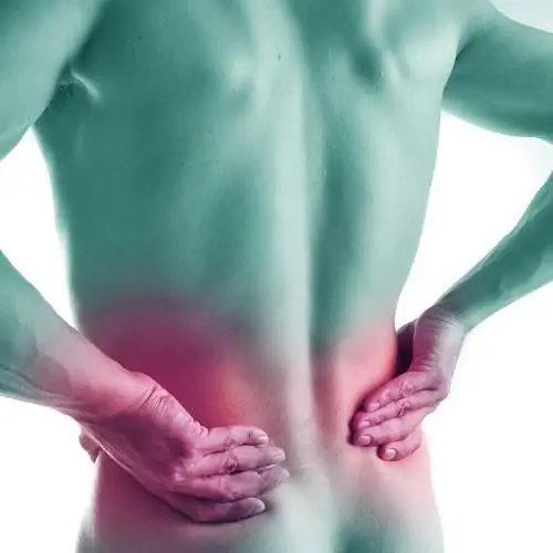 почки-рак почек