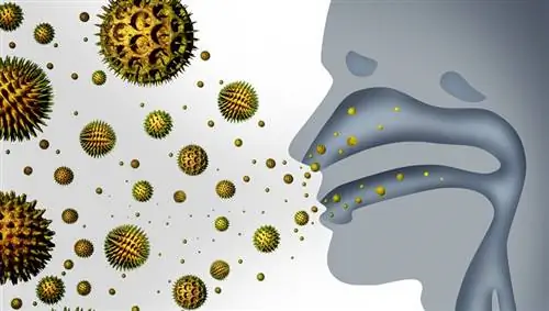 3 шага к естественному излечению от сезонной аллергии