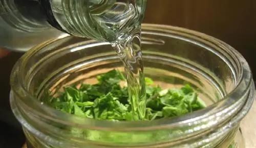 Лечение мигрени травяным настоем