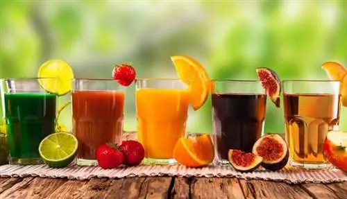 Соковое голодание и как правильно его проводить