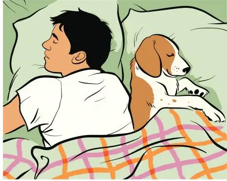 оставить собаку