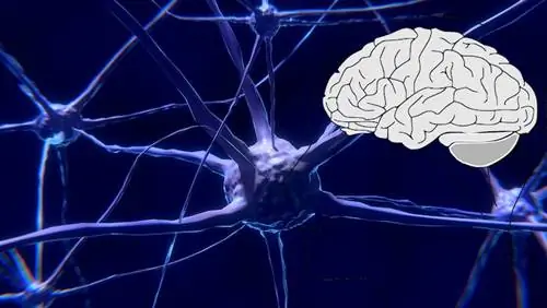 выращивать новые нейроны выращивать новые нейроны