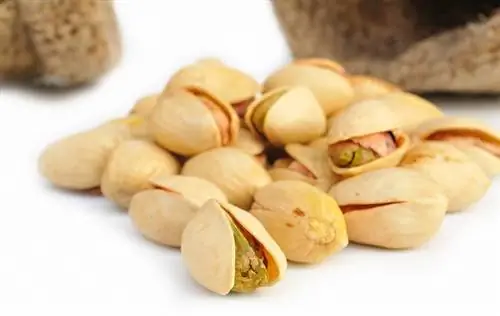 Фисташки против стресса