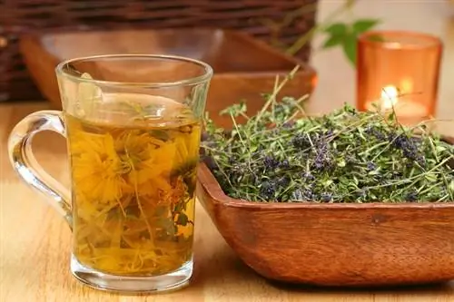 Сухой кашель и как его вылечить естественным путем