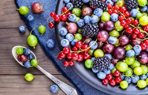 Антиоксиданты активизируют иммунную систему