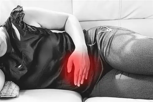 Избавьтесь от запоров с помощью овсяных отрубей