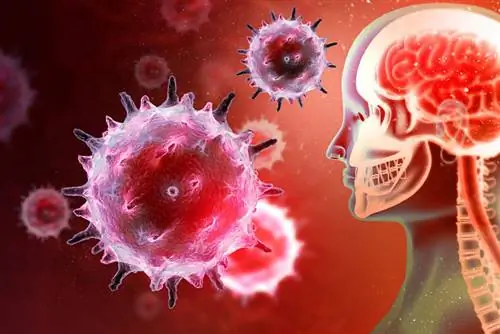 Болезнь Лайма можно спутать с COVID-19