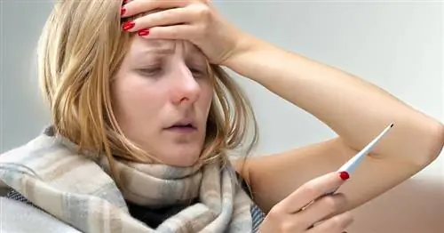 11 интересных фактов о температуре тела