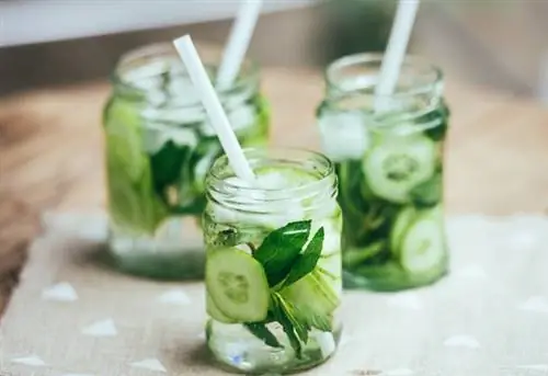 похудеть с огуречной водой