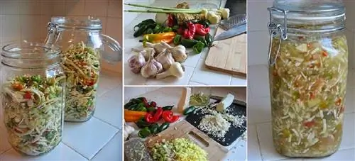 Мастер-тоник для укрепления иммунитета