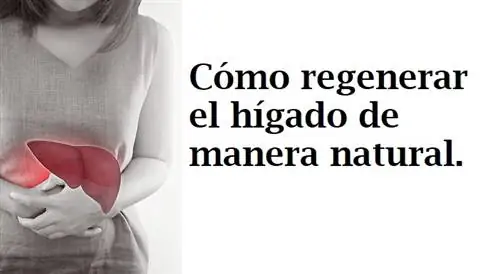 Как естественным образом восстановить и вылечить печень