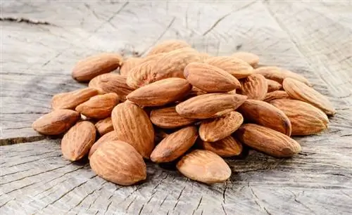 Как сделать молоко, муку и миндальное масло