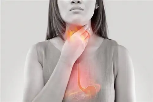 Симптомы ГЭРБ: какие продукты делают вас лучше, а какие хуже