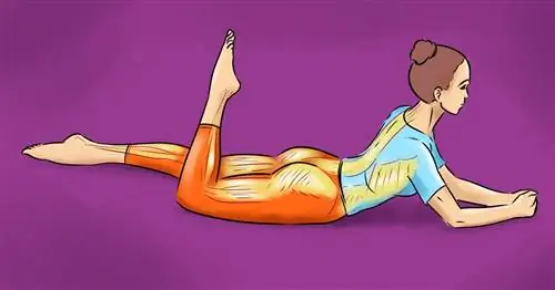 Лучшие упражнения для правильной осанки