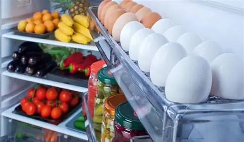 10 продуктов, которые нельзя класть в холодильник