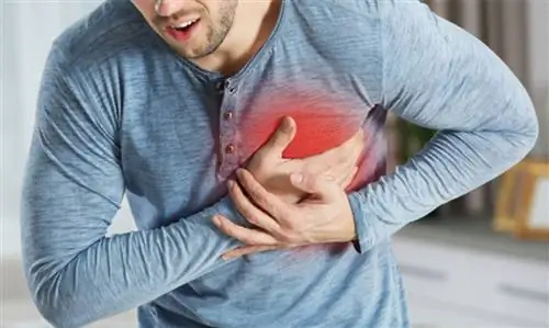 Проблемы с сердцем, на которые следует обратить внимание