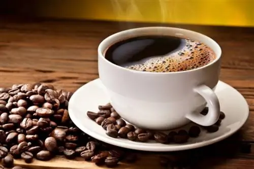 Вот что две чашки кофе в день делают с вашей печенью