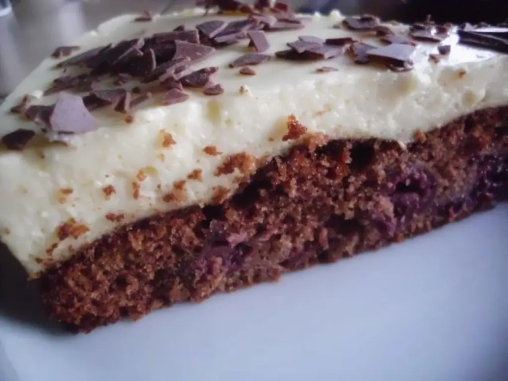 Торт с пудингом вкусен с шоколадом, гоголем-могольм и вишней