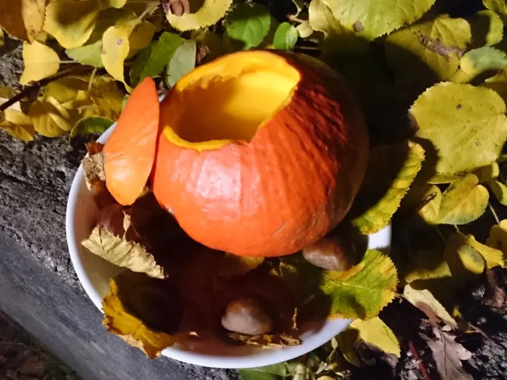 Суп-пюре из дикой тыквы