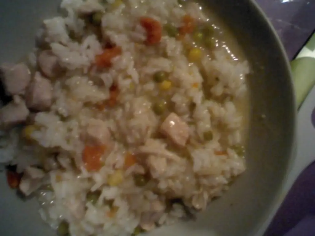 Быстрое фрикасе из курицы с рисом