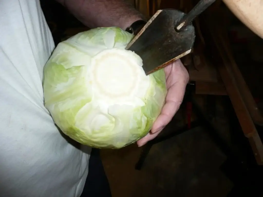 Нарезаем квашеную капусту (сделаем сами)