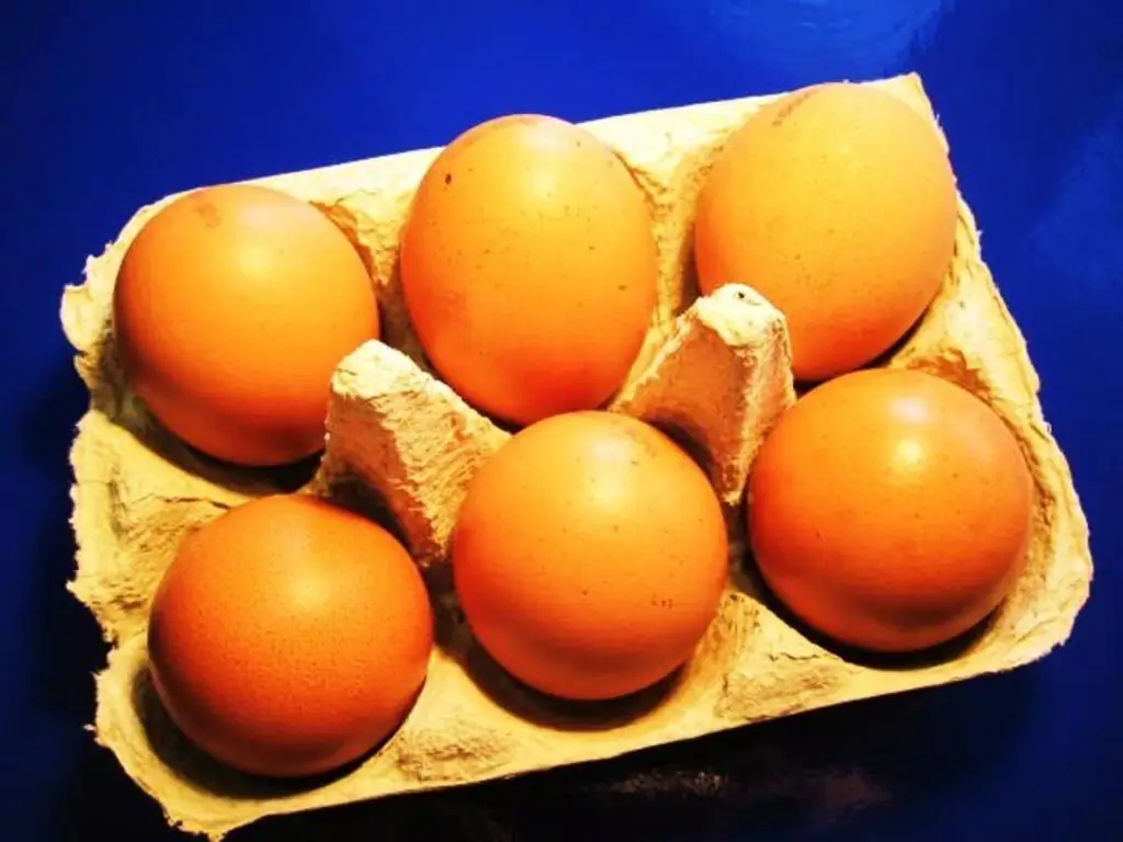 Soleier в баре берлинских пабов