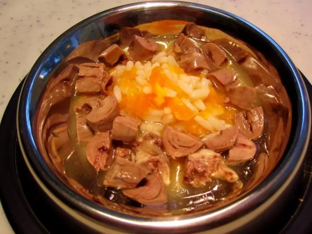 Корм для кошек: курица