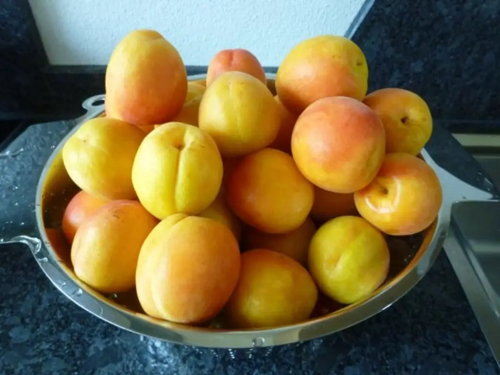 Абрикосовый джем с мелиссой