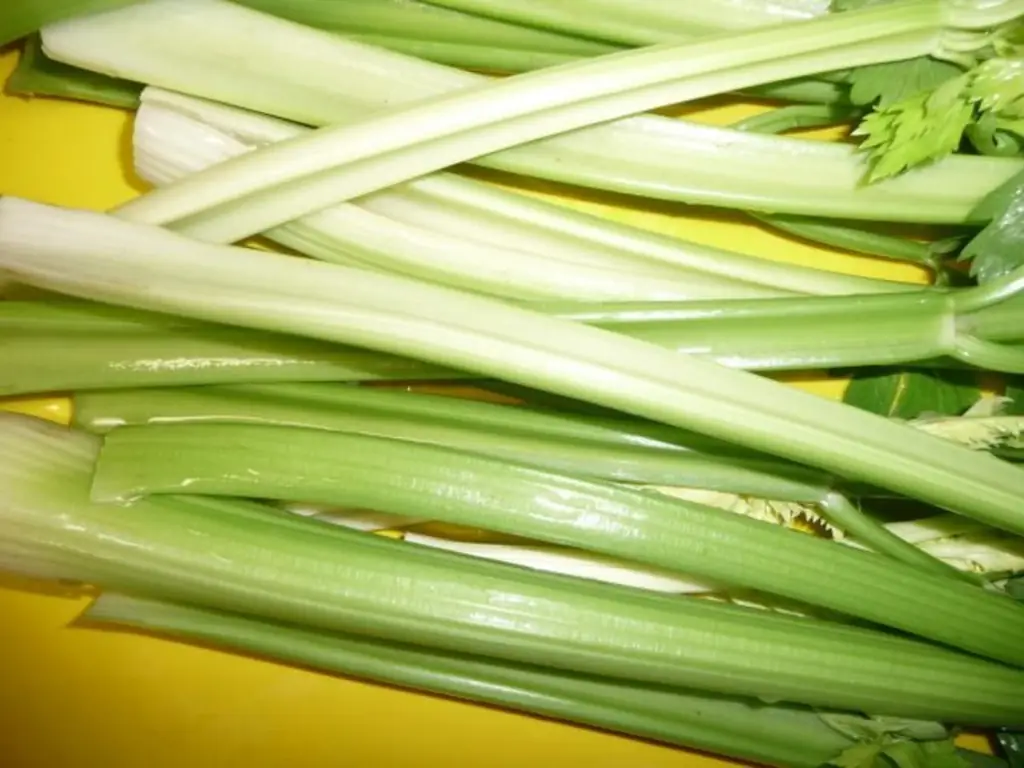 Соус Болоньезе / Сальса Болоньезе / Соус Болоньезе