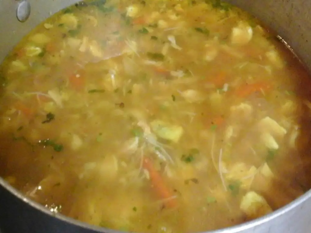 Куриный суп тушеный из смешанных ингредиентов