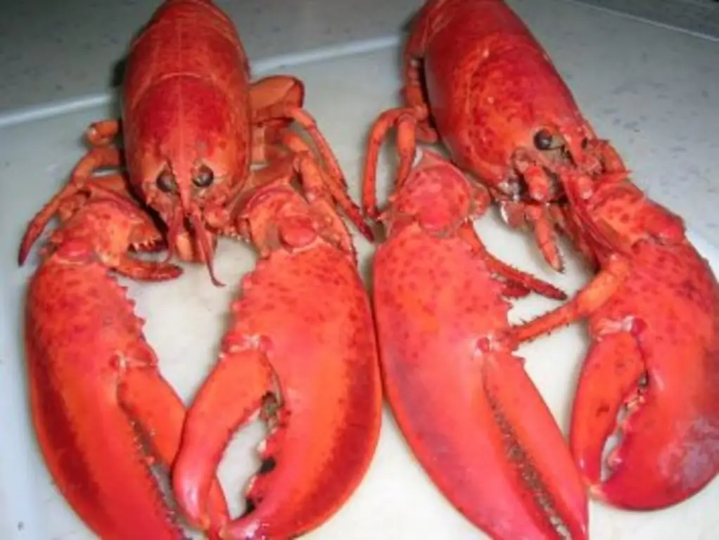 Лобстер термидор